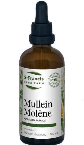 St. Francis Mullein 100mL