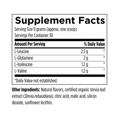 Designs for Health BCAA Powder with L-Glutamine 270g Powder