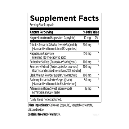 Designs for Health GI Microb-X 120 Capsules