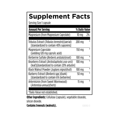 Designs for Health GI Microb-X 60 Capsules