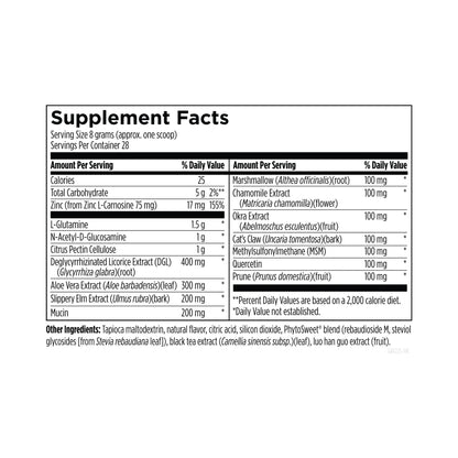 Designs for Health GI-Revive 225g Powder