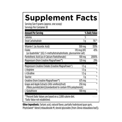 Designs for Health NOx Synergy 270g Powder