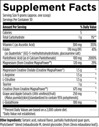 Designs for Health NOx Synergy 270g Powder
