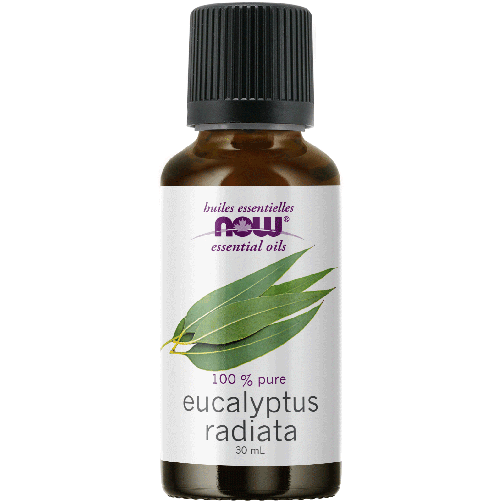 NOW Eucalyptus Radiata Oil (Eucalyptus radiata)30mL - 