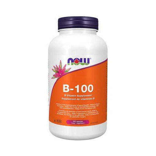 NOW B-100 Complex 250 Veg Capsules