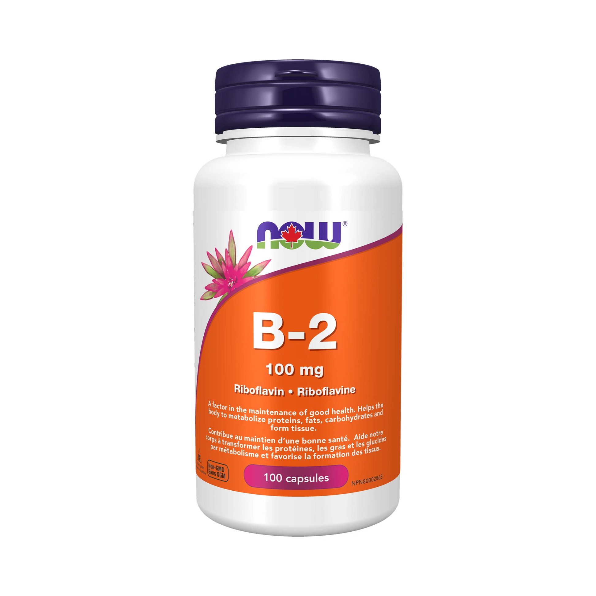 NOW B-2 100mg 100 Capsules