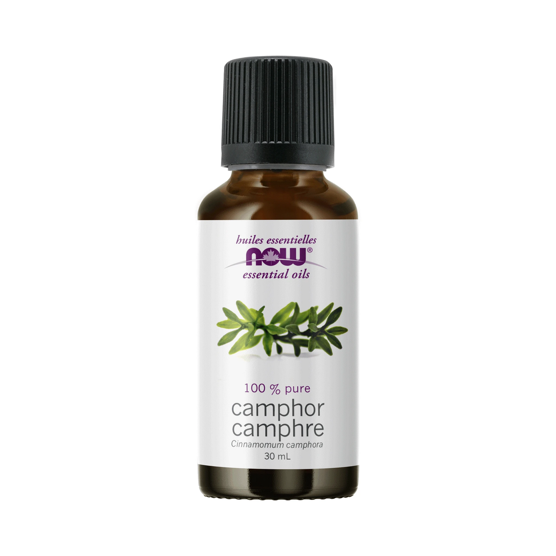 NOW Camphor Oil 30mL