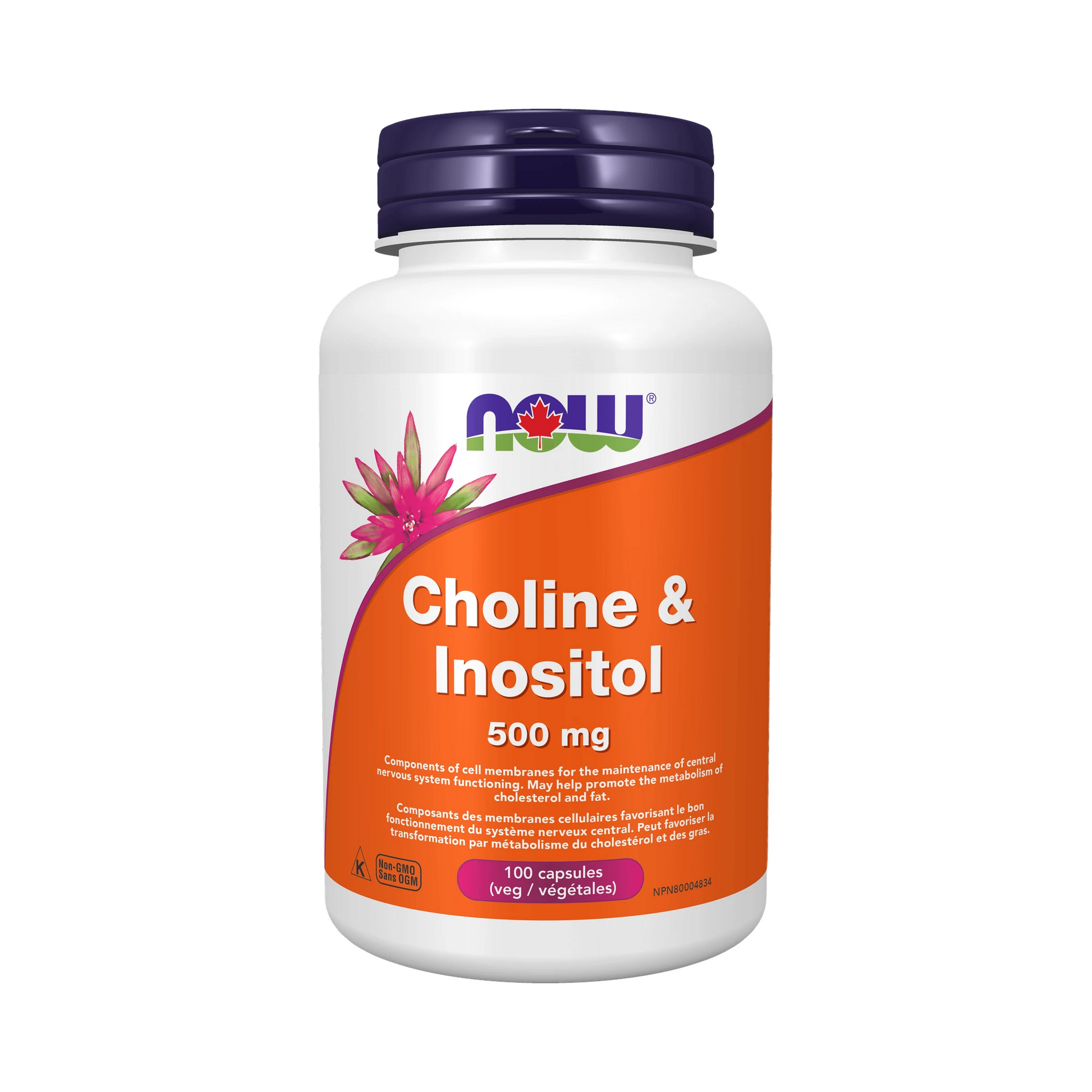 NOW Choline and Inositol 500mg 100 Capsules