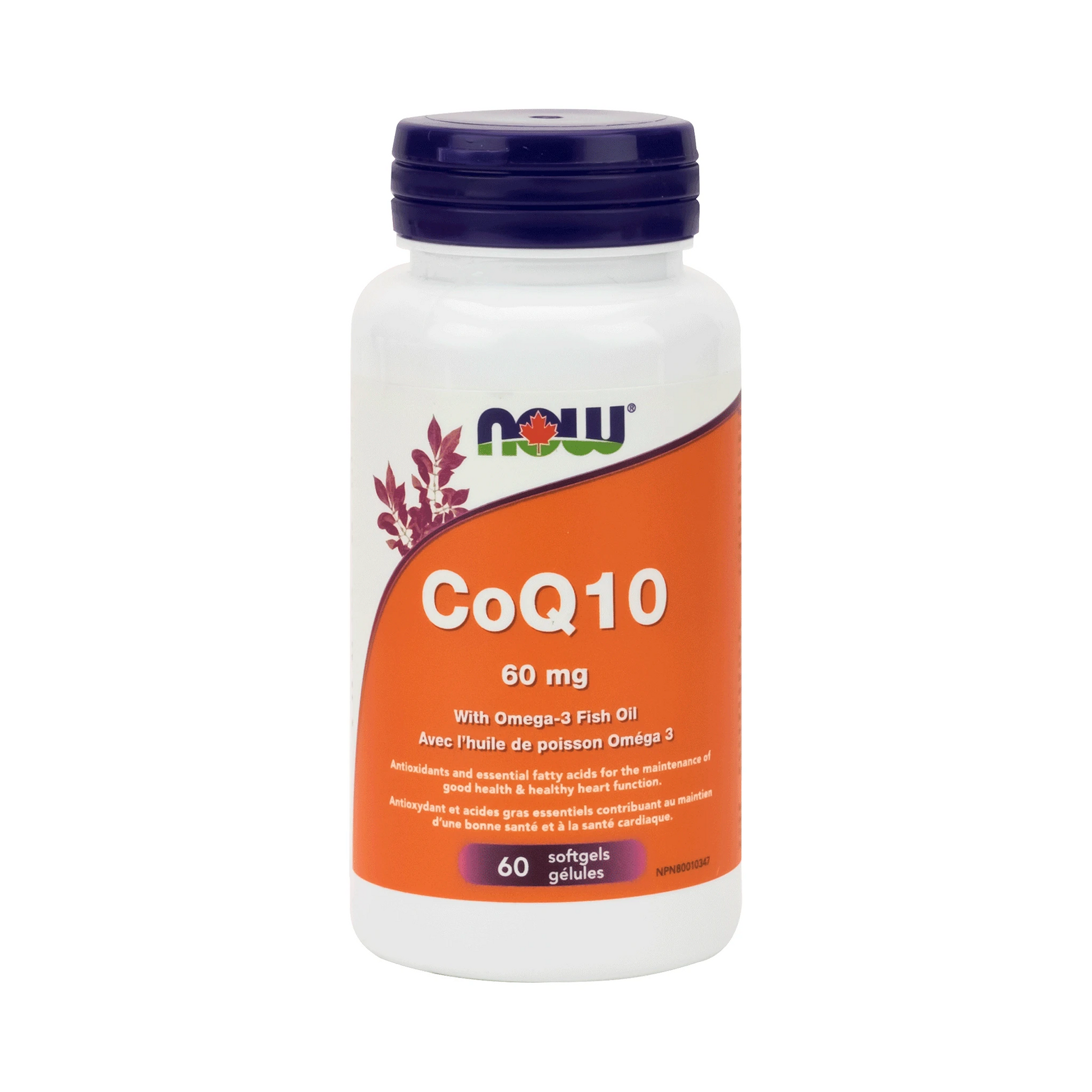 NOW Co-Q10 60mg with Lecithin Fish Oil 60 Softgels