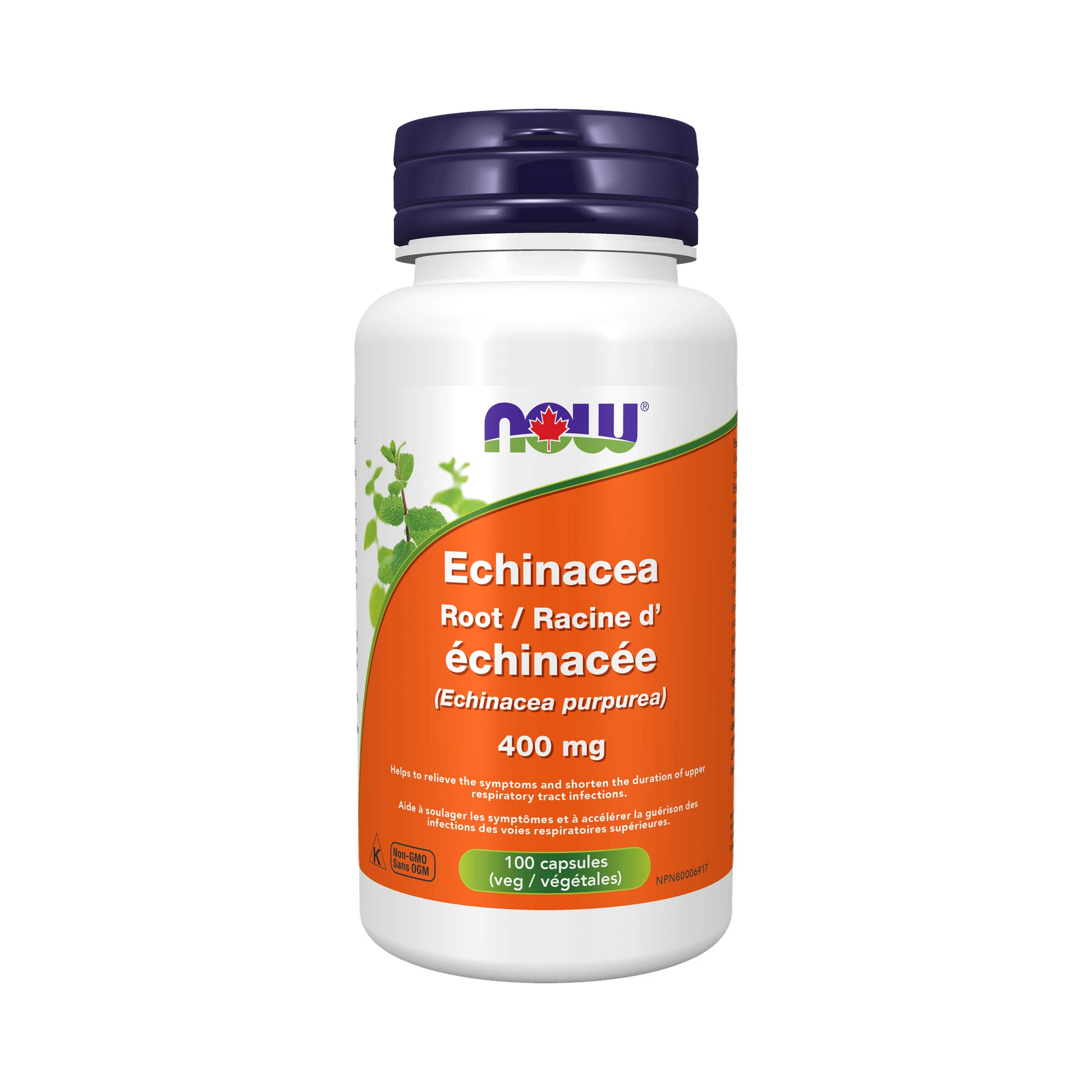 NOW Echinacea 400mg 100 Veg Capsules