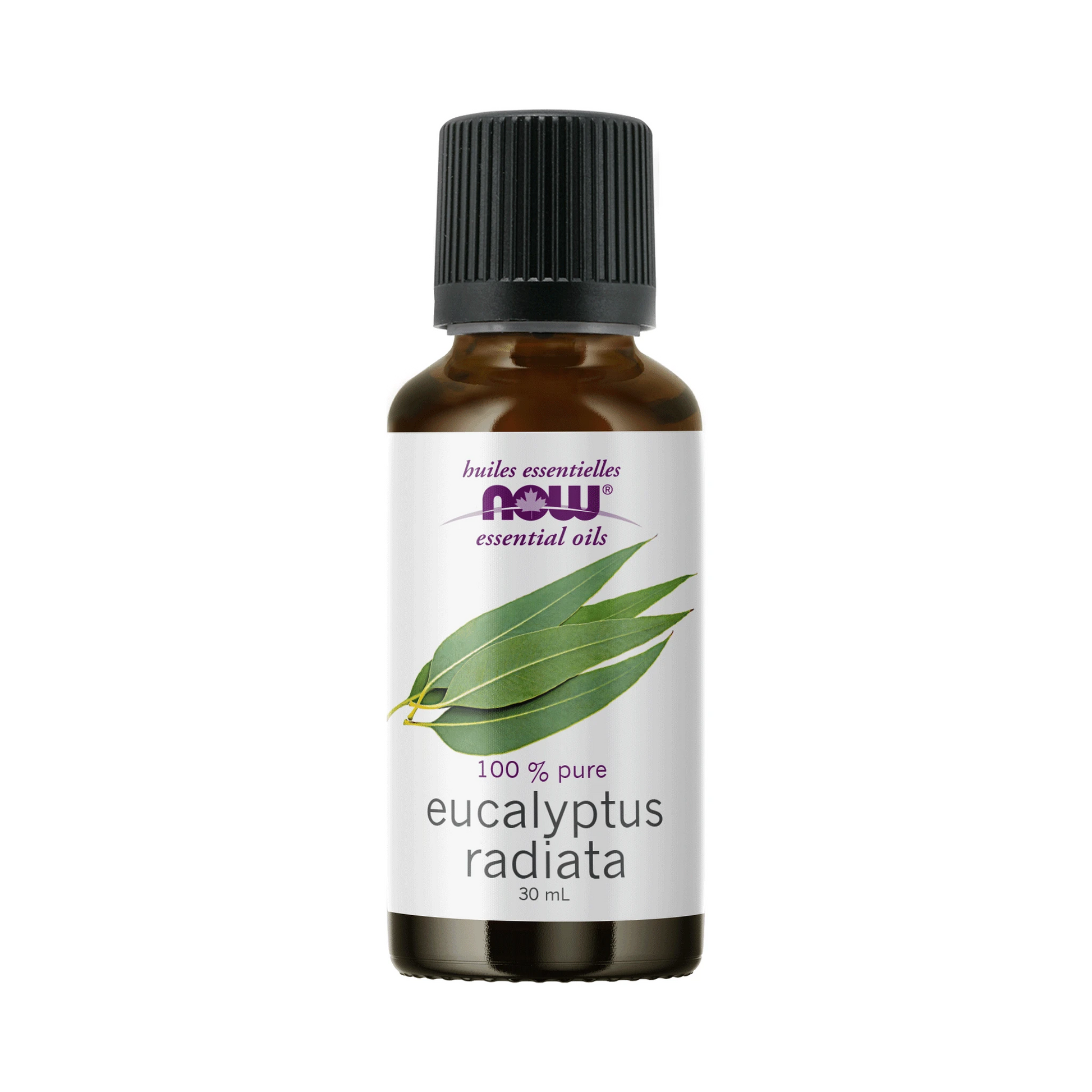 NOW Eucalyptus Radiata Oil  30mL