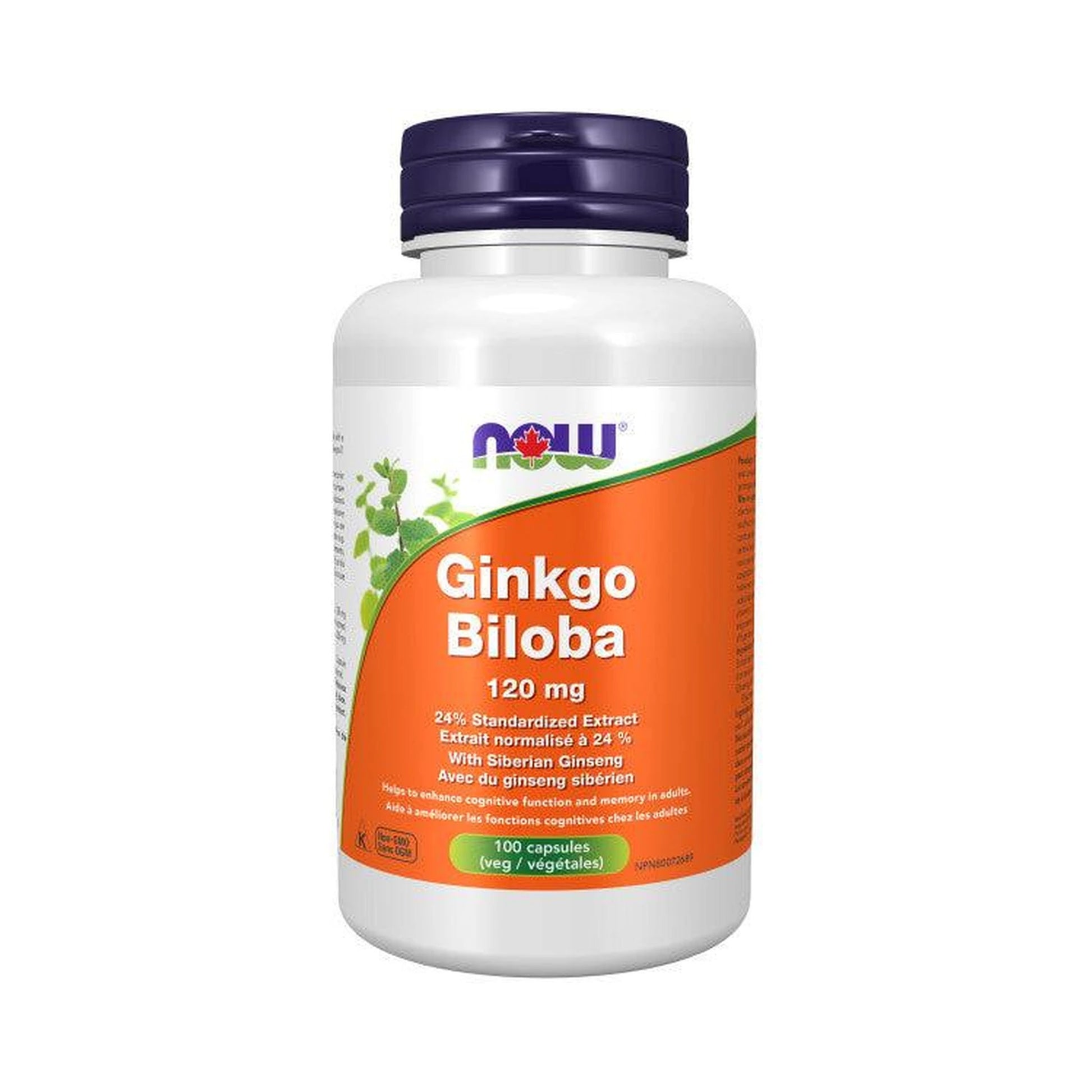 NOW Ginkgo Biloba 120mg 100 Veg Capsules