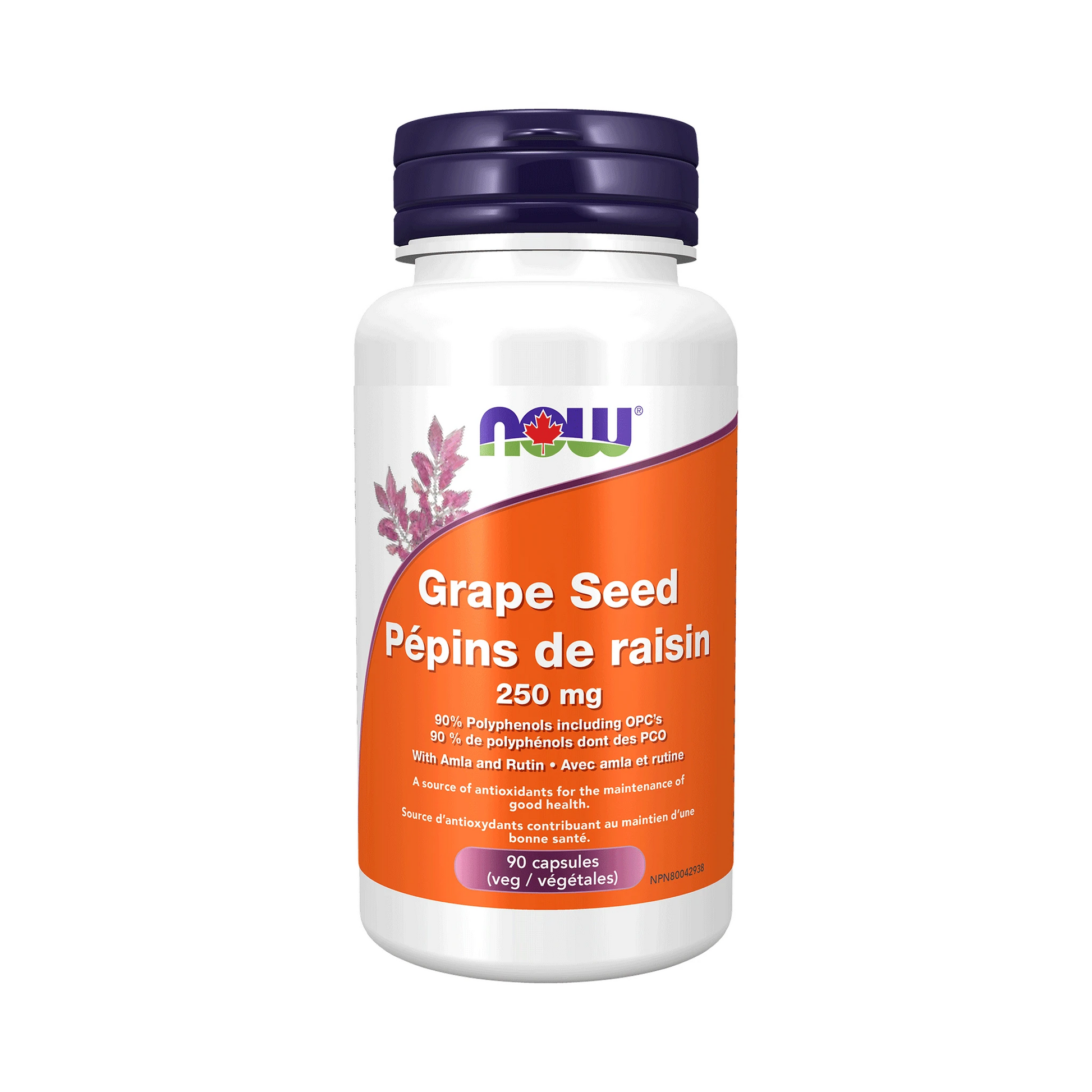 NOW Grape Seed Extract 250mg 90 Veg Capsules