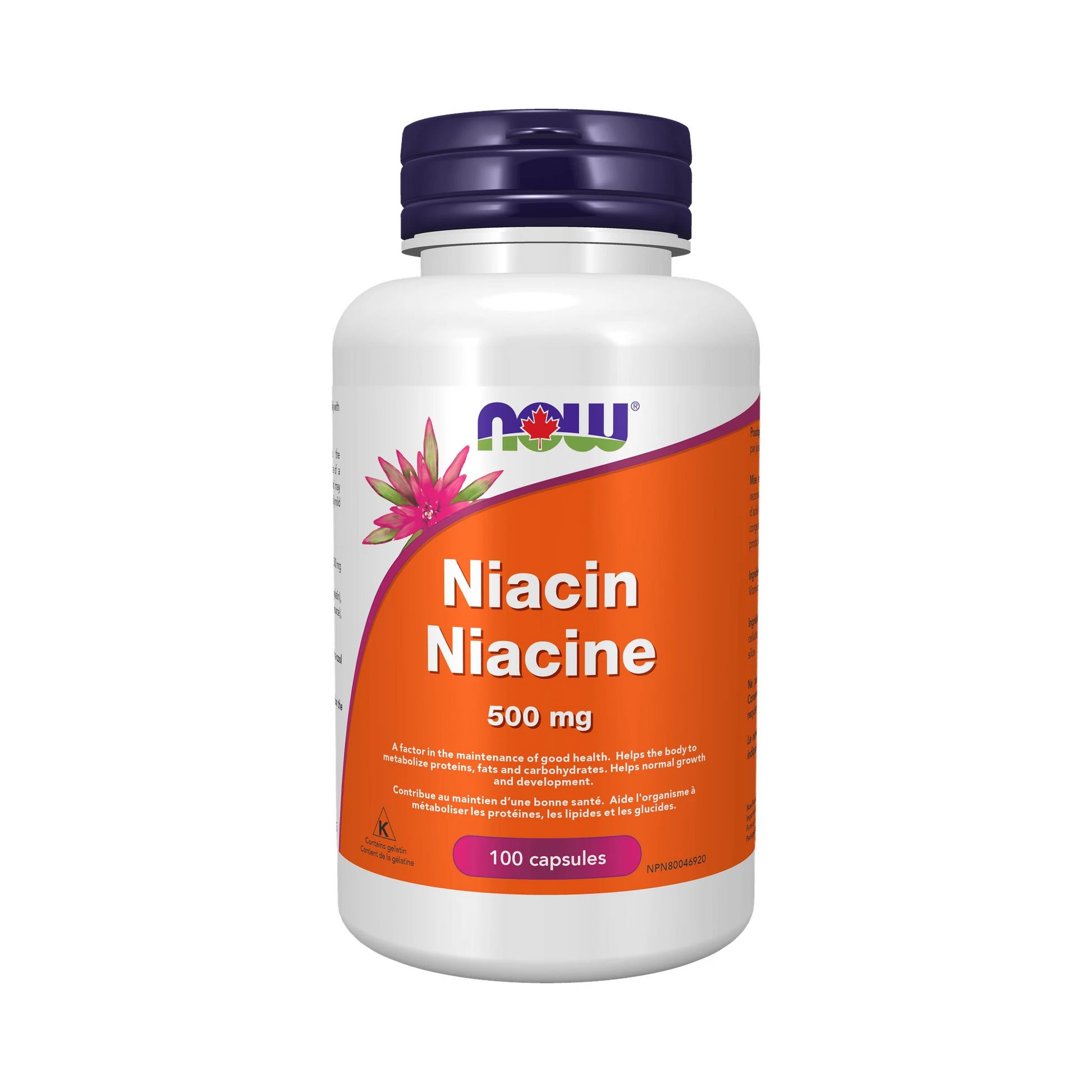 NOW Niacin 500mg 100 Capsules
