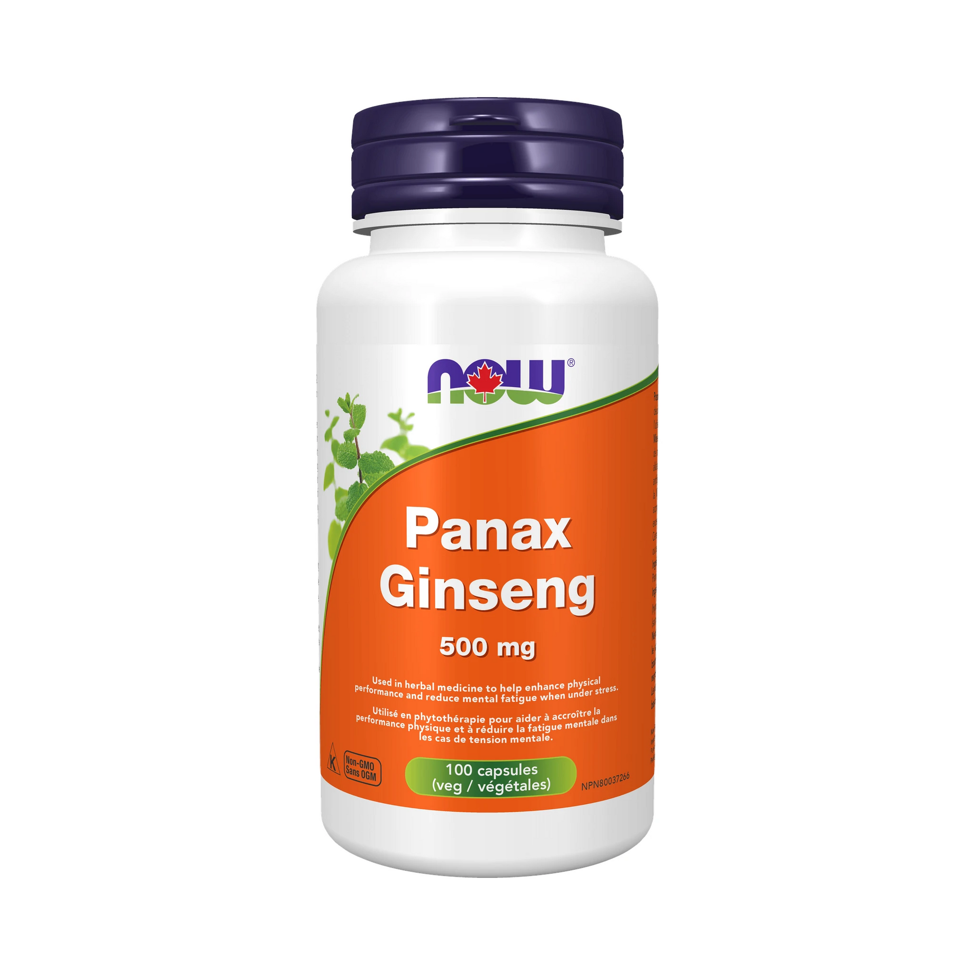 NOW Panax Ginseng Extract 500mg 100 Capsules