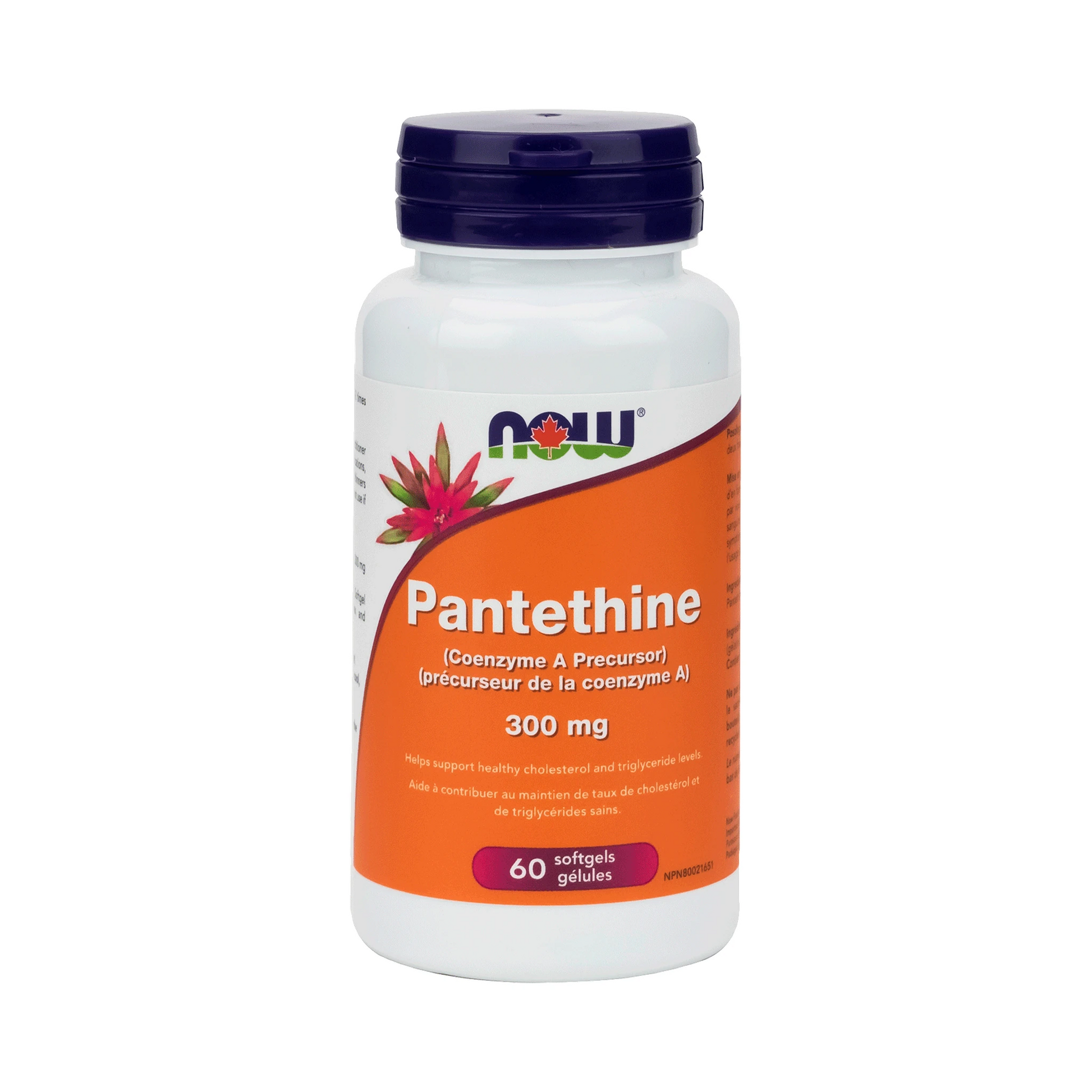 NOW Pantethine 300mg 60 Softgels