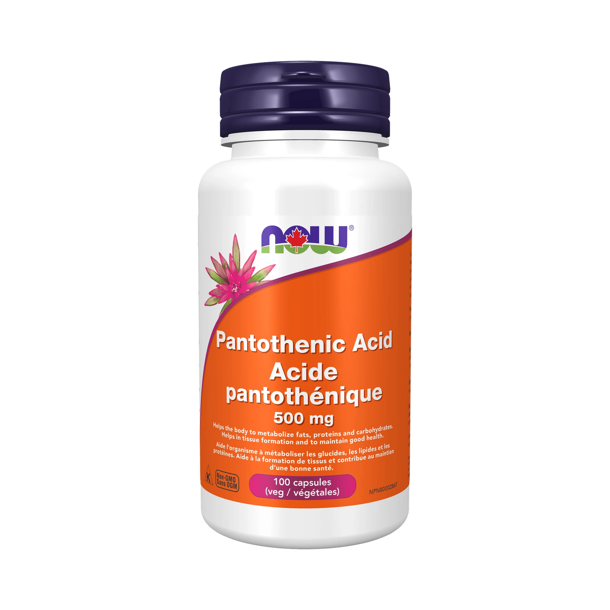 NOW Pantothenic Acid 500mg 100 Capsules