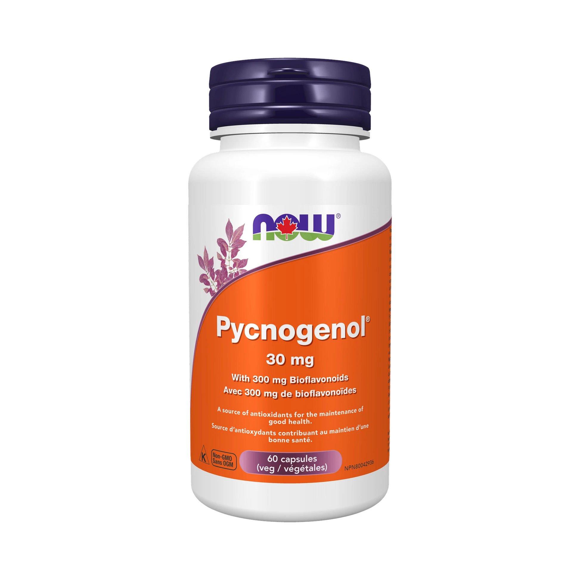 NOW Pycnogenol 30mg with Bioflavonoids 60 Veg Capsules