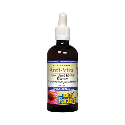 Natural Factors Anti-Viral Potent Fresh Herbal Tincture Echinamide 100mL