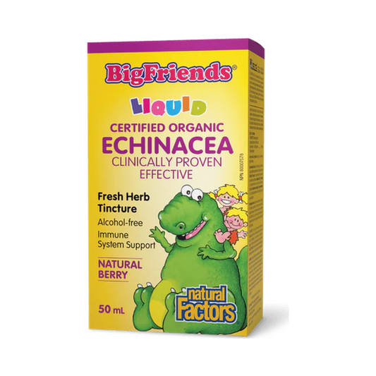 Natural Factors Echinacea Alcohol-Free Fresh Herb Tincture for Kids Big Friends 50 mL