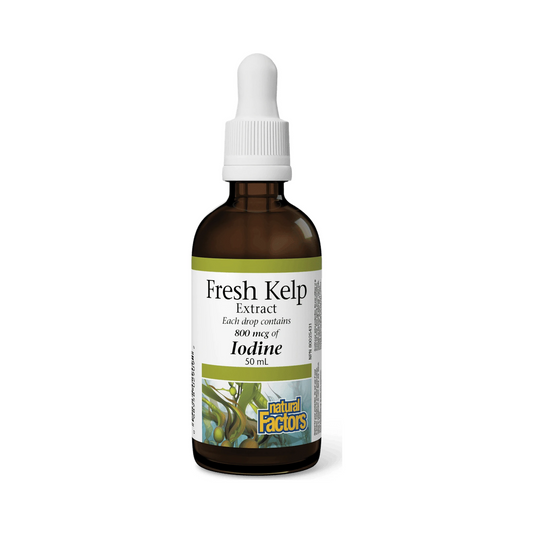 Natural Factors Fresh Kelp Extract 800mcg 50mL