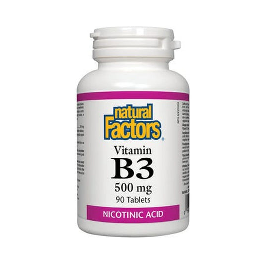 Natural Factors Vitamin B3 500mg 90 Tablets