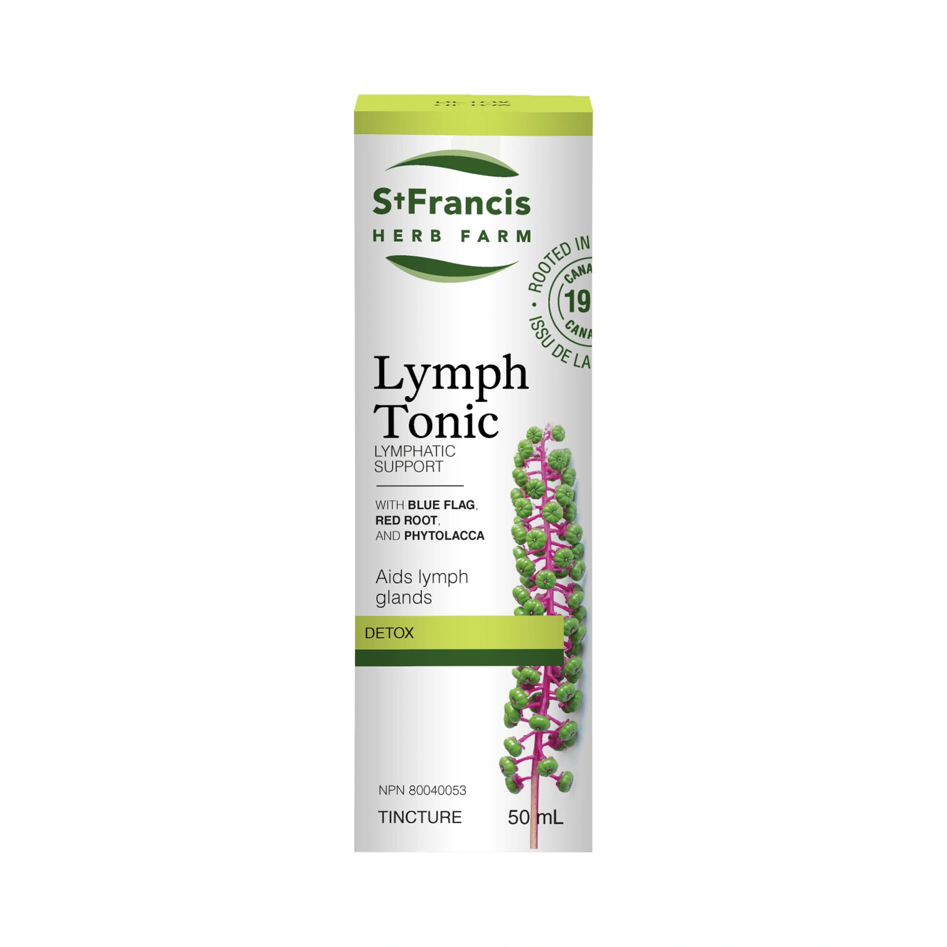 St. Francis Lymph Tonic 50mL