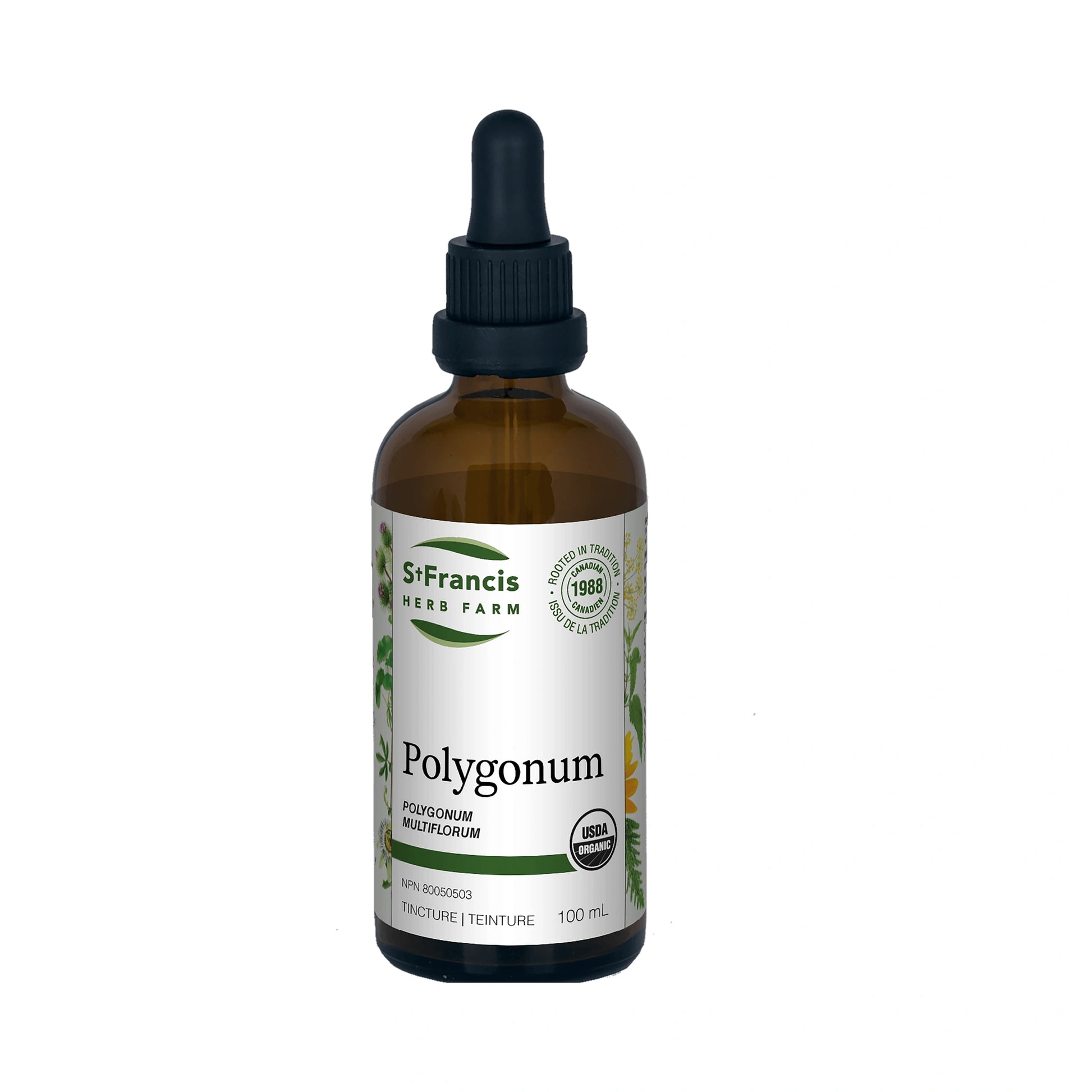 St. Francis Polygonum 100mL