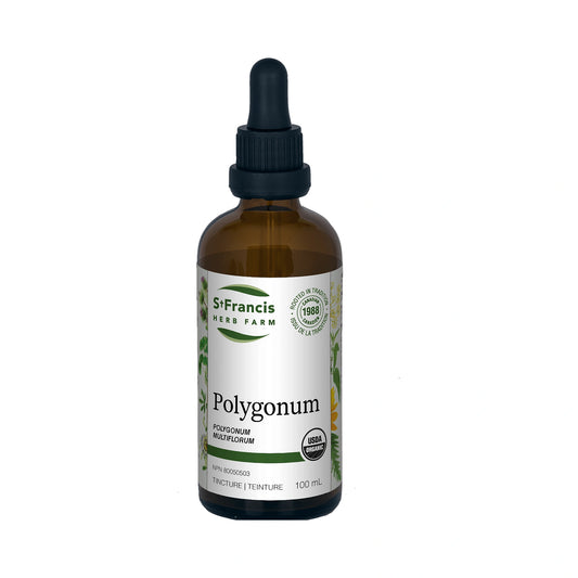 St. Francis Polygonum 100mL