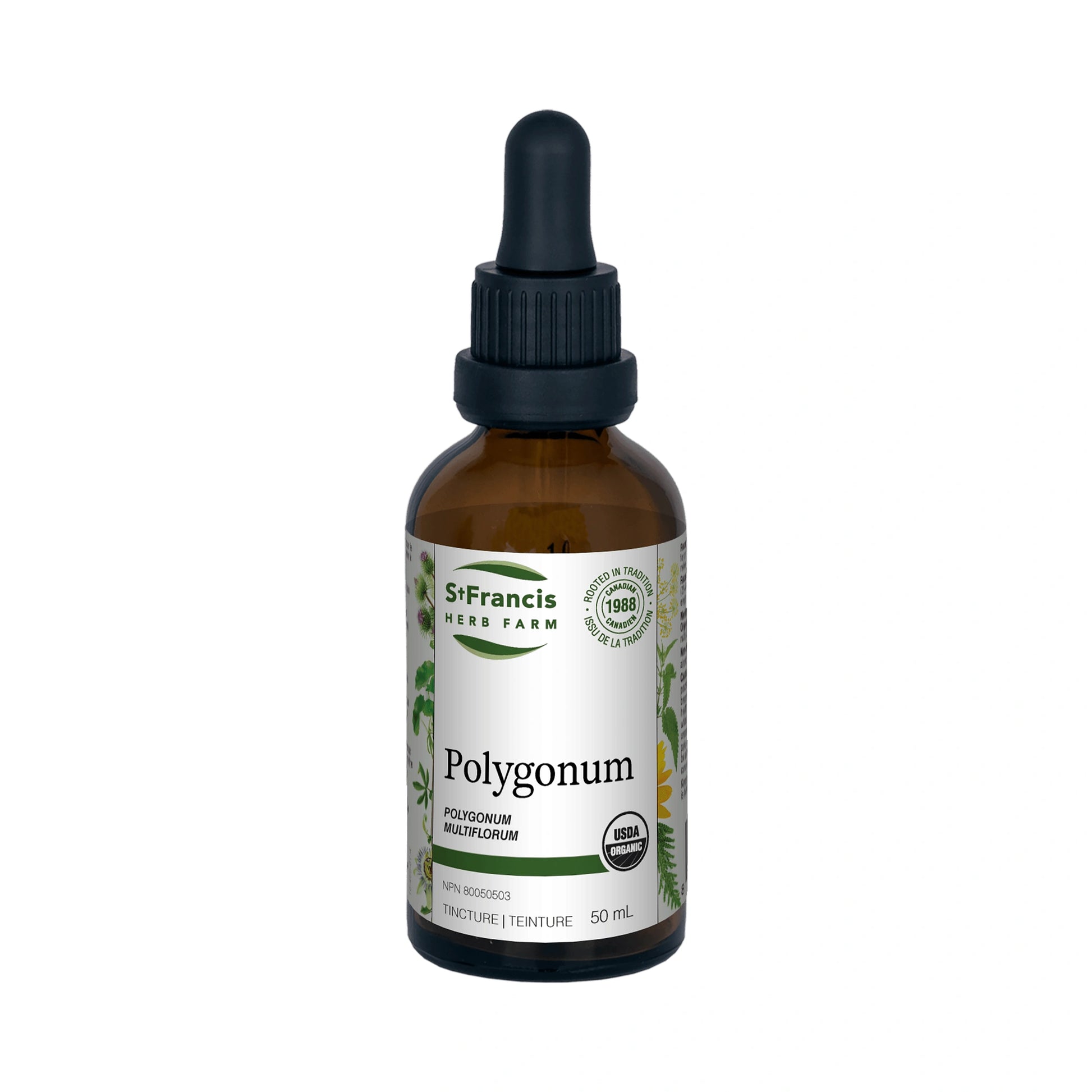 St. Francis Polygonum 50mL