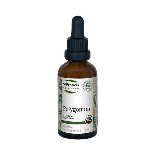 St. Francis Polygonum 50mL