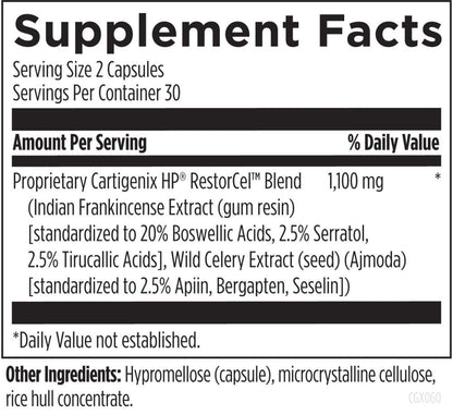 Designs For Health Cartigenix HP