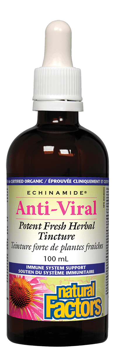 Natural Factors Anti-Viral Potent Fresh Herbal Tincture ECHINAMIDE 100mL 