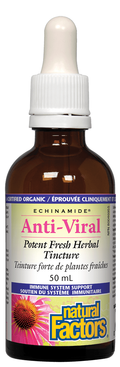 Natural Factors Anti-Viral Potent Fresh Herbal Tincture ECHINAMIDE 50mL - Wellness Supplement