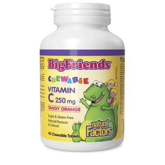 Natural Factors Chewable Vitamin C 250 mg Tangy Orange Big Friends 90 Chewables 