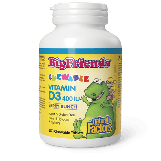 Natural Factors Chewable Vitamin D3 400 IU Berry Bunch Big Friends 250 Chewables 