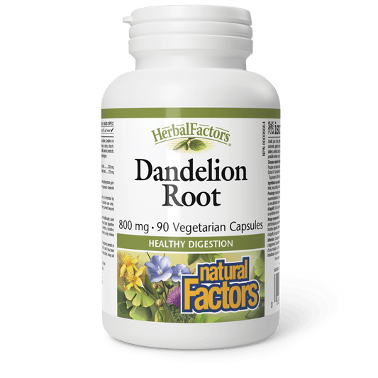 Natural Factors Dandelion Root 800 mg 90 Veg Capsules - Wellness Supplement