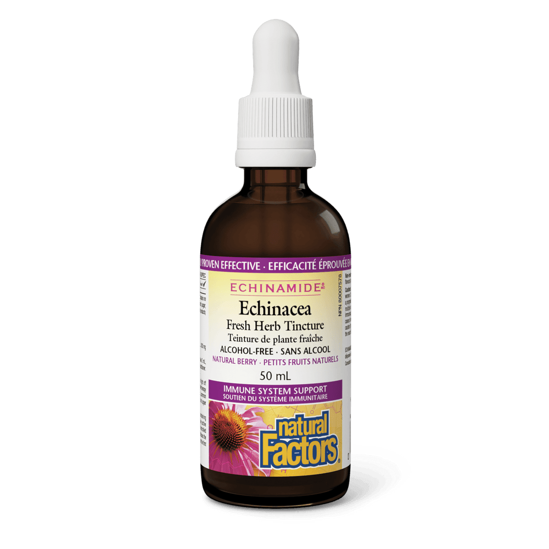 Natural Factors Echinacea Alcohol-Free Fresh Herb Tincture Natural Berry ECHINAMIDE 50mL - Wellness Supplement