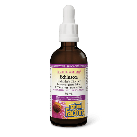 Natural Factors Echinacea Alcohol-Free Fresh Herb Tincture Natural Berry ECHINAMIDE 50mL - Wellness Supplement