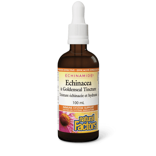 Natural Factors Echinacea & Goldenseal Tincture ECHINAMIDE 100mL - Wellness Supplement