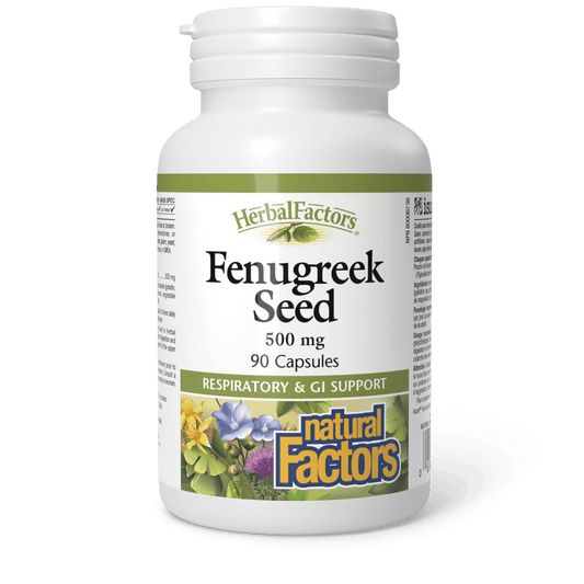 Natural Factors Fenugreek Seed 500 mg 90 Capsules - Wellness Supplement