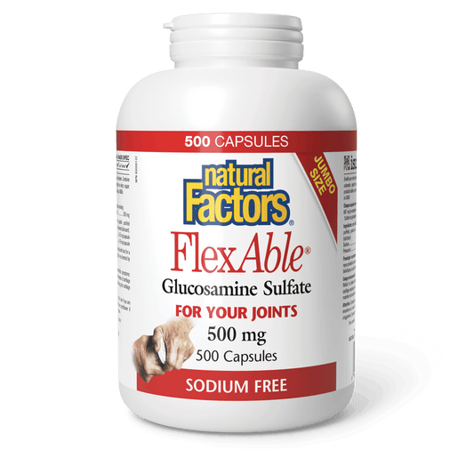 Natural Factors FlexAble Glucosamine Sulfate 500 mg 500 Capsules 