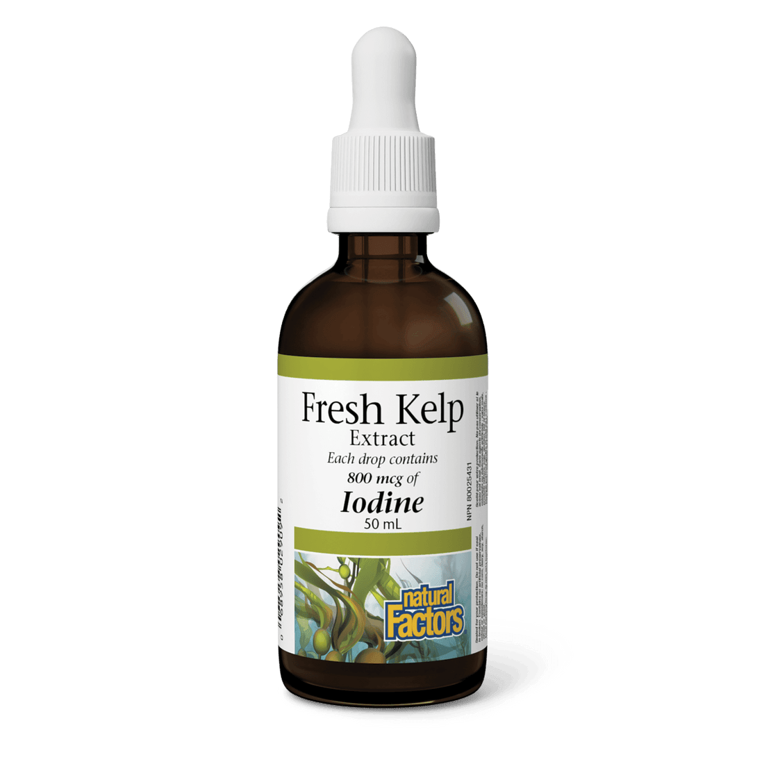 Natural Factors Fresh Kelp Extract 800 mcg 50mL - Wellness Supplement