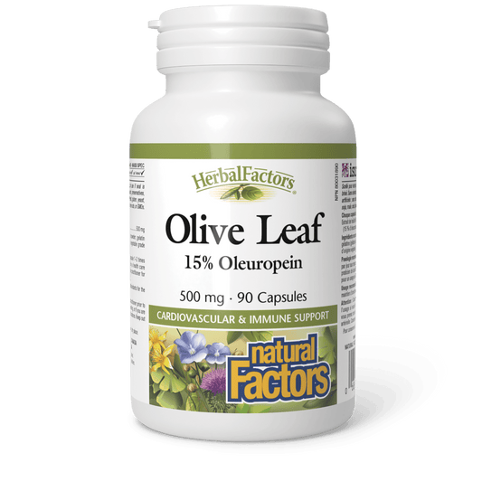 Natural Factors Herbal Factors Olive Leaf 500 mg 90 Capsules 