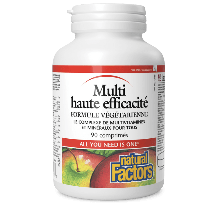 Natural Factors Hi Potency Multi Vegetarian Formula 90 Tablets - Wellness Supplement