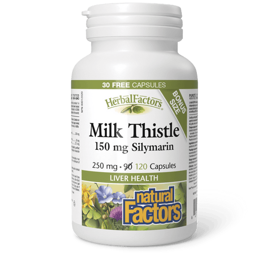 Natural Factors Milk Thistle 250 mg BONUS SIZE (90+30) Capsules 
