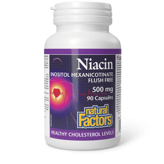 Natural Factors Niacin Flush Free 500 mg 90 Capsules 