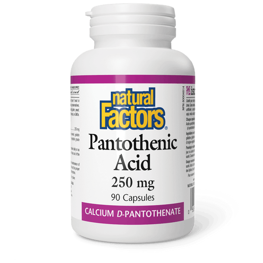 Natural Factors Pantothenic Acid 250 mg 90 Capsules 