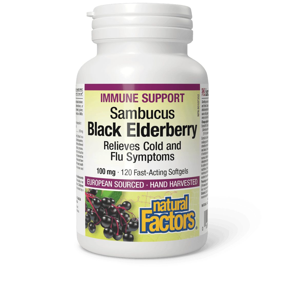Natural Factors Sambucus Black Elderberry 100 mg 120 Softgels - Wellness Supplement