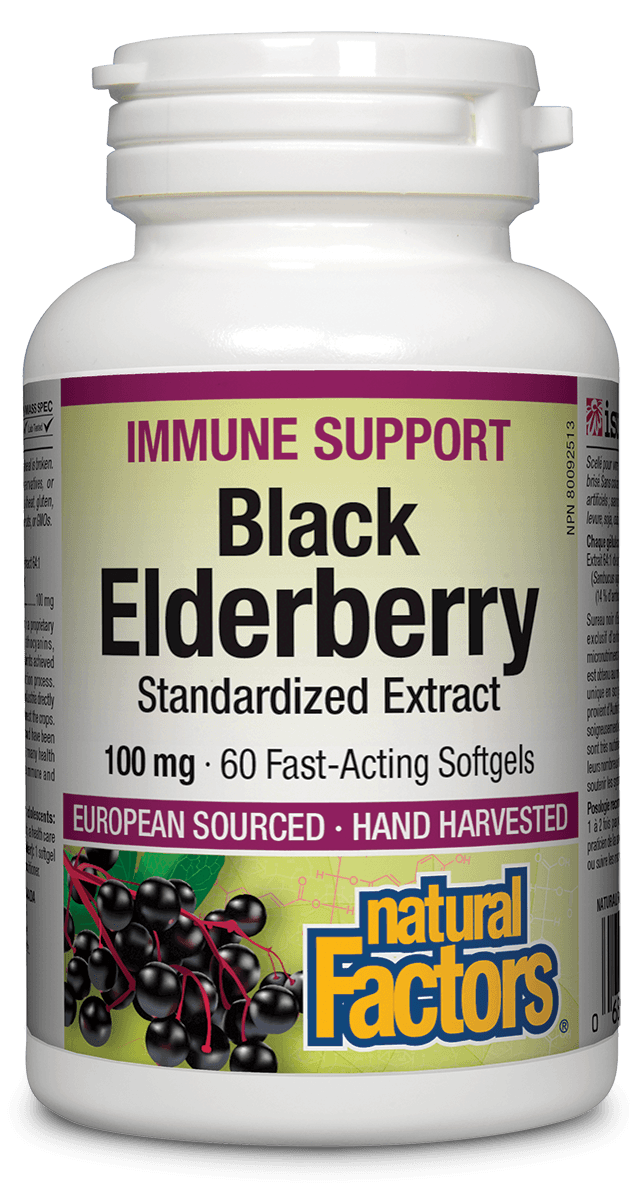 Natural Factors Sambucus Black Elderberry 100 mg 60 Softgels - Wellness Supplement